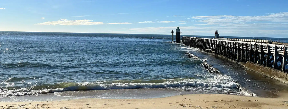 Le Gouf de Capbreton : un hotspot de biodiversité sous l’océan landais