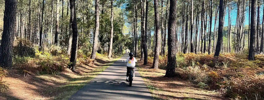 Les 5 plus belles balades à vélo autour d'Hossegor : Entre lac, forêt et océan